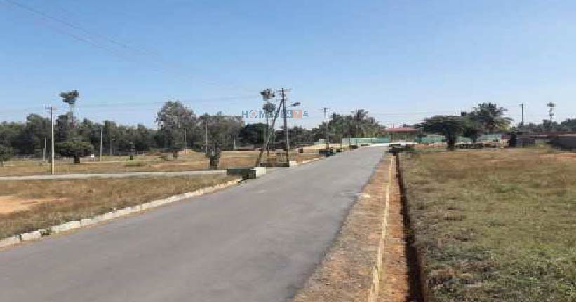 Avani Harsha Nagar-cover-06